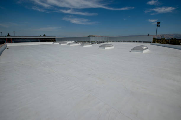 Professional Roofing Service in South Haven, IN