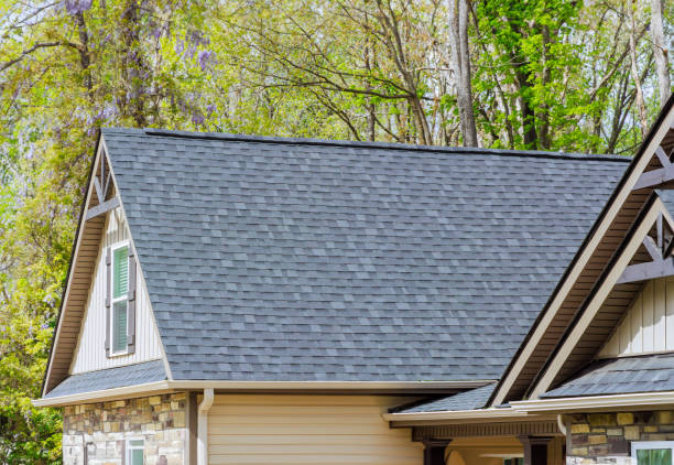 Best Roof Moss and Algae Removal  in South Haven, IN