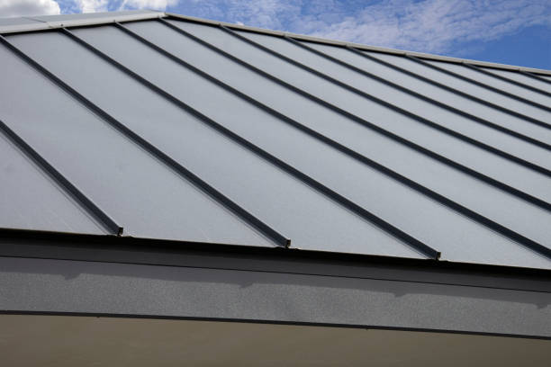 Best Flat Roofing  in South Haven, IN